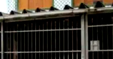 Sobrado com 4 quartos, 3 vagas e 214m² construídos, ocupado