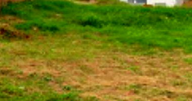 Lote Urbano de 300 m² em Marechal Cândido Rondon - Desocupado