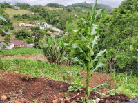 Terreno Urbano com 310,38m² em Aratiba/RS