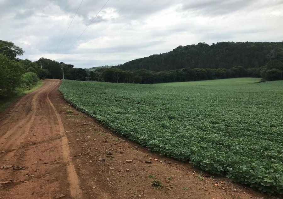 Espaçoso Terreno Rural de 48.400m² em Área em Ascensão