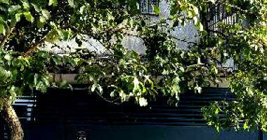 Casa com 2 quartos, 100m²