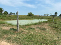 Sítio Bom Jesus em Cruzeiro do Sul/AC - 98,2257 ha