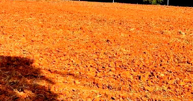 Fazenda com 145,75 hectares em Regente Feijó