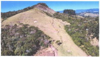 Terreno Rural 47,36 ha com pastagem e mata nativa em Prudentópolis