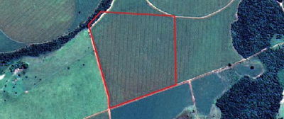 Fazenda Nova Ebenezer com 38,72 hectares em Mossâmedes-GO