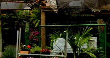 Imóvel com Galpão em Astorga/PR