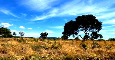 Terreno Amplo em Loteamento Residencial Valente II
