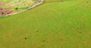 Propriedade Rural com 18 Alqueires em Anita Garibaldi/SC