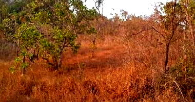 Terreno Urbano Irregular com 14.001,80m², Desocupado, Sem Benfeitorias