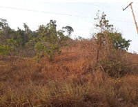 Terreno Urbano Irregular com 14.001,80m², Sem Benfeitorias