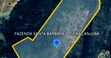 Fazenda Santa Bárbara do Piracanjuba com 78,86 hectares em Orizona-GO