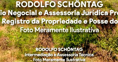 Terreno Rural 3,07 ha em Crato com matrícula atualizada