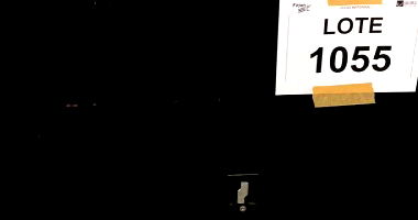 Sucata de Equipamentos Eletrônicos - Oportunidade Única!