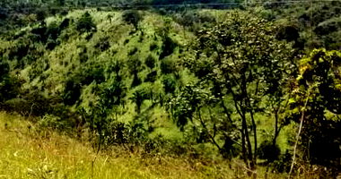 Fazenda Santa Fé: Imóvel Rural com 214,634 HA em Padre Bernardo/GO