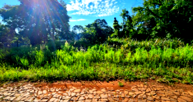 Terreno amplo de 938,40m² - Desocupado, ideal para investimento
