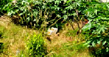 Terreno em Londrina com 300m²