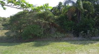Terreno 250m² em Ilha Comprida/SP