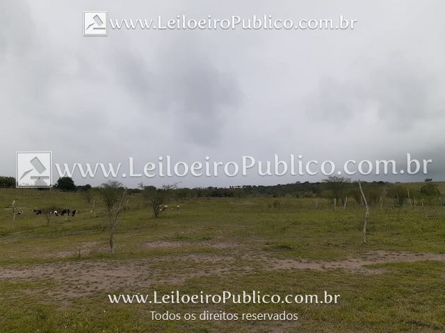 Terreno Urbano 2.500m² em Barrocas, Bahia - Excelente Oportunidade