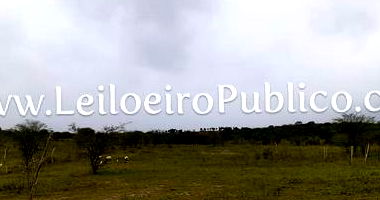 Terreno Urbano 2.500m² em Barrocas, Bahia - Excelente Oportunidade