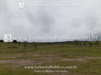 Terreno Urbano 2.500m² em Barrocas, Bahia - Excelente Oportunidade