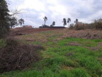 Terreno urbano 3.735,66 m² em Trindade do Sul - RS