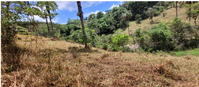 7,99% de Terra Nua com 0,48739 ha em Rio Manso/MG