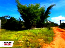 Fazenda Rural com 1226.78 ha em Campo Novo do Parecis - MT