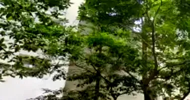 Apartamento com 1 vaga de garagem em leilão