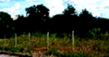 Terreno Amplo em Uruaçu - 18.000m²