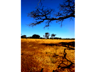1/9 - Sítio c/ 54.11.82ha - Fazenda Três Irmãos