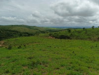 Imóvel Rural com 35,11ha em Serra do Salitre, MG
