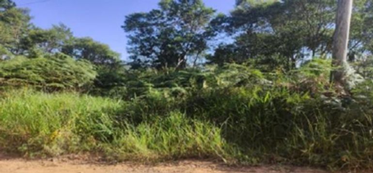 Terreno Urbano com Ampla Área em Cotia/SP