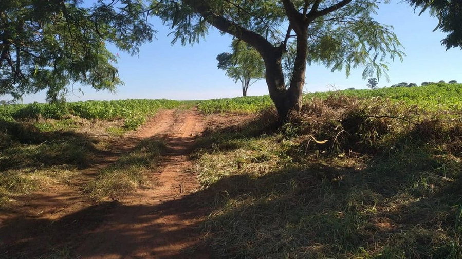 Fração ideal de 50% de Lotes Rurais com 3,758 alqueires paulistas