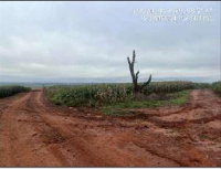 Imóvel Rural 12,10ha para lavoura de grãos em Japurá/PR