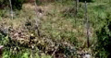 Terreno com 133,75m² em Nossa Senhora do Socorro/SE