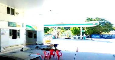 Lote de Semoventes com 15 bezerros e 27 bezerras