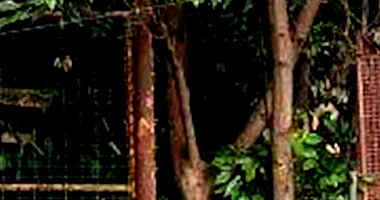 Lote padrão desocupado com 640,8 m² de terreno