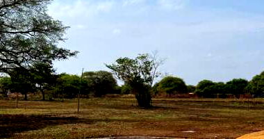 Terreno com 463,78 m² em Araguacema/TO
