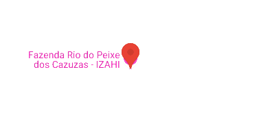Fazenda com 12.5 Alqueires em Pires do Rio - Oportunidade!