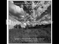 Terreno 376m² em Umuarama (PR) - Oportunidade única!