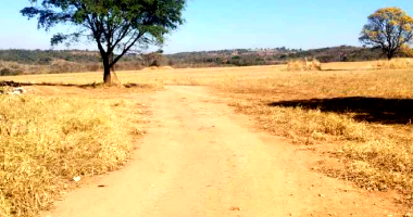 Fazenda com 155 Hectares, Casa de Colono e Curral em Araújos/MG