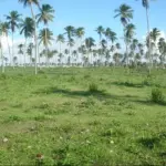 Gleba de terras ampla com grande potencial de investimento