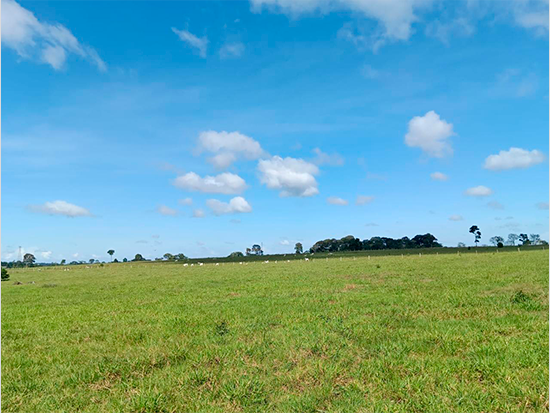 Terreno Rural de 14,52 ha - Colorado do Oeste/RO