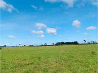 Terreno Rural de 14,52 ha - Colorado do Oeste/RO