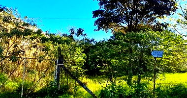 Terreno com 524,51m² em Cachoeira do Sul/RS