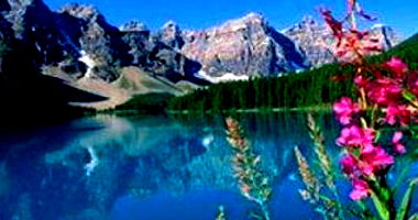 TV 37" AOC em Rio das Pedras - SP