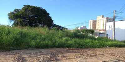 Terreno de 8.801m² com ótima localização e potencial construtivo