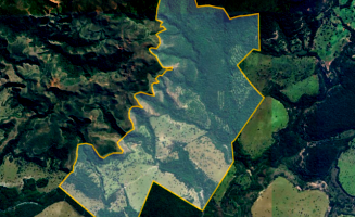 Fazenda com 435,60 hectares e benfeitorias