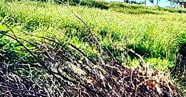 Terreno Rural com 40.000m² em Realeza/PR