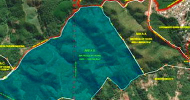 Ampla Fazenda Rural com 203 ha em Área B - Não Informado